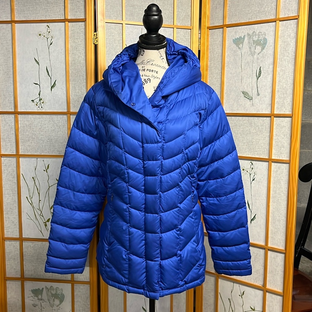 Patagonia RARE Downtown Loft Jacket Premium European Down
